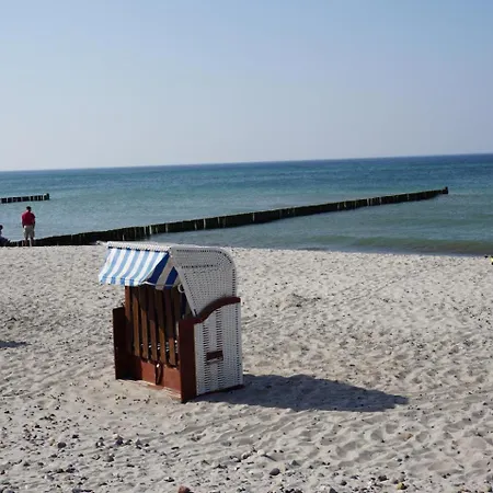 Birkenhof 2 Moewennest *