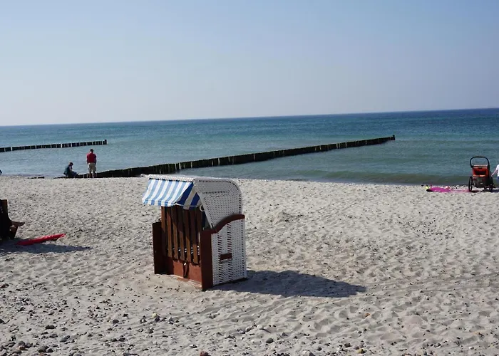 Birkenhof 2 Moewennest *