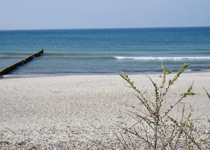 Birkenhof 2 Moewennest Apartamento